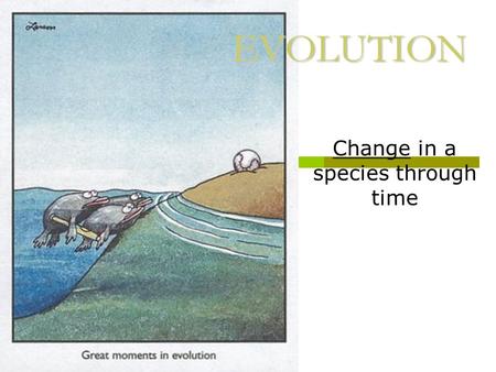 EVOLUTION Change in a species through time. How Do Living Things Change  Variation ______________________  During DNA replication  During transcription/