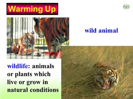 wildlife: animals or plants which live or grow in natural conditions wild animal Warming Up.