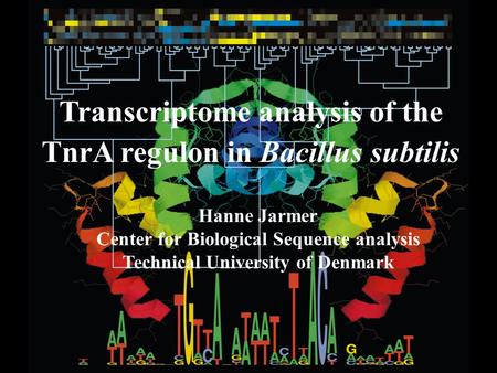 Transcriptome analysis of the TnrA regulon in Bacillus subtilis Hanne Jarmer Center for Biological Sequence analysis Technical University of Denmark.