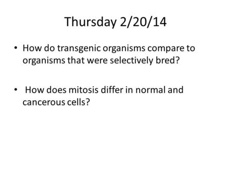 Thursday 2/20/14 How do transgenic organisms compare to organisms that were selectively bred? How does mitosis differ in normal and cancerous cells?