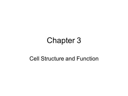 Chapter 3 Cell Structure and Function. Animal Cell 1. cell (plasma) membrane – thin, transparent, 2-layered, semi-permeable (porous), flexible -controls.