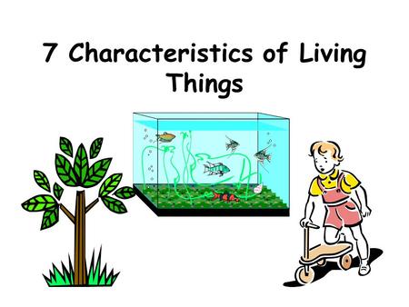 7 Characteristics of Living Things