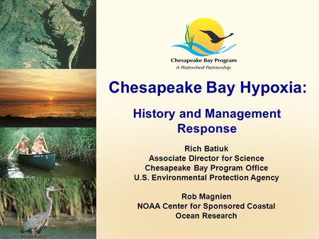 Chesapeake Bay Hypoxia: History and Management Response Rich Batiuk Associate Director for Science Chesapeake Bay Program Office U.S. Environmental Protection.