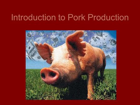 Introduction to Pork Production. Definitions Female after giving birth: Sow Young female: Gilt Having piglets: Farrowing Male: Boar Castrated Male: Barrow.