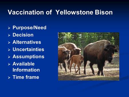 Vaccination of Yellowstone Bison   Purpose/Need   Decision   Alternatives   Uncertainties   Assumptions   Available Information   Time frame.