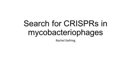 Search for CRISPRs in mycobacteriophages