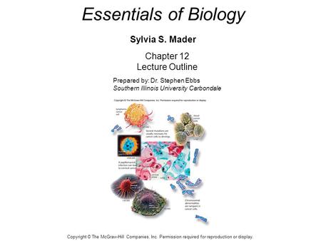 Essentials of Biology Sylvia S. Mader