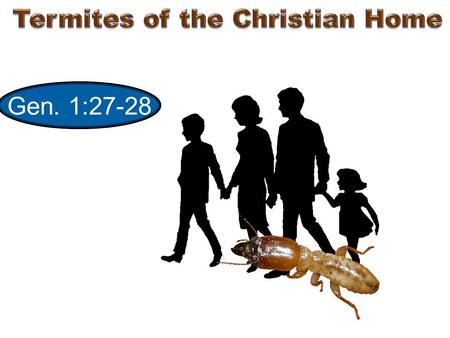 Gen. 1:27-28. “Husbands, love your wives, and be not bitter against them” Col. 3:19 Harsh = rsv Harshly, cross 1. The Termites.