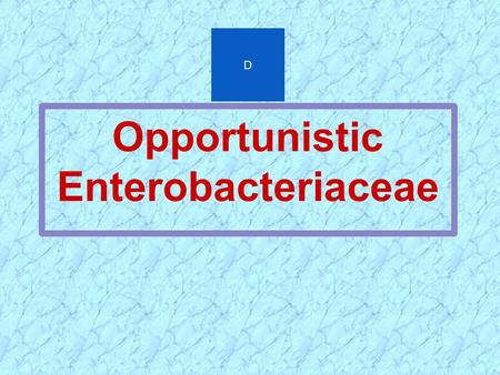 Opportunistic Enterobacteriaceae D. OPPORTUNISTIC INFECTIONS OF ENTEROBACTERIACEAE  GRAM NEGATIVE SEPSIS  URINARY TRACT INFECTIONS  PNEUMONIA  ABDOMINAL.