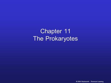 © 2004 Wadsworth – Thomson Learning Chapter 11 The Prokaryotes.