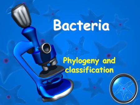 1 Bacteria Phylogeny and classification. 2 Earliest Prokaryotes Most numerousMost numerous organisms on Earth bacteriaInclude all bacteria Earliest fossils.