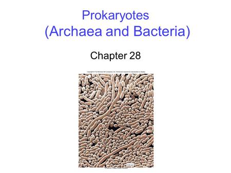 Prokaryotes (Archaea and Bacteria) Chapter 28. 2 The First Cells Microfossils are fossilized forms of microscopic life -Oldest are 3.5 billion years old.