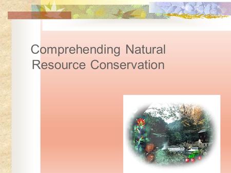 Comprehending Natural Resource Conservation. Next Generation Science/Common Core Standards Addressed! HS ‐ ESS3 ‐ 3. Create a computational simulation.