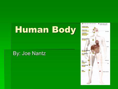 Human Body By: Joe Nantz. The Brain  How does the brain work?  The brain is made up of 100 billion neurons.  There are a lot of parts that make up.