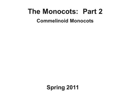 The Monocots: Part 2 Commelinoid Monocots Spring 2011.