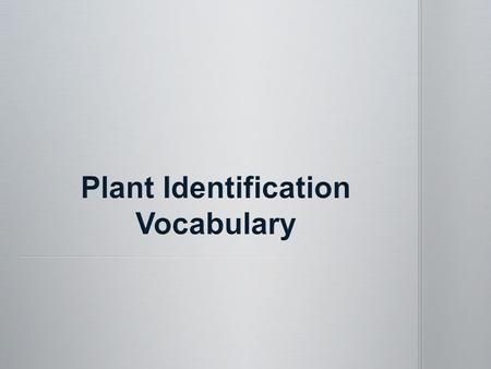 Widest part of leaf Widest part of leaf Stalk where blade attaches to stem Stalk where blade attaches to stem.