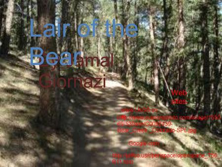 By Jamal Giornazi Lair of the Bear  R11.htm Web sites Google.com  69/530wm/C0092439-