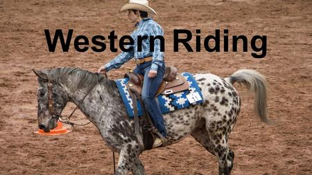 Western Riding. The western riding begins by dressage and respect for the animal.