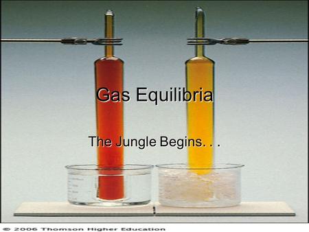 Gas Equilibria The Jungle Begins.... What is Equilibrium?  Reaction is reversible  Both products and reactants are present  Forward and reverse reactions.