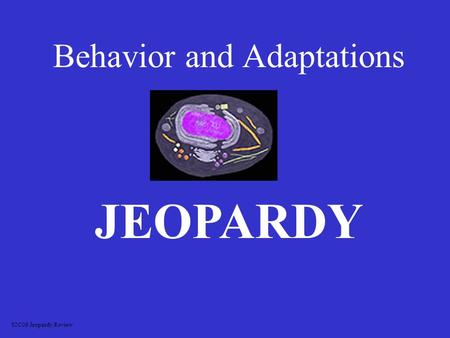 Behavior and Adaptations