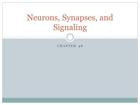 Neurons, Synapses, and Signaling