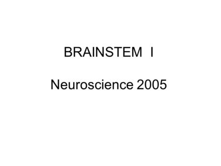 BRAINSTEM I Neuroscience 2005