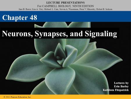 LECTURE PRESENTATIONS For CAMPBELL BIOLOGY, NINTH EDITION Jane B. Reece, Lisa A. Urry, Michael L. Cain, Steven A. Wasserman, Peter V. Minorsky, Robert.