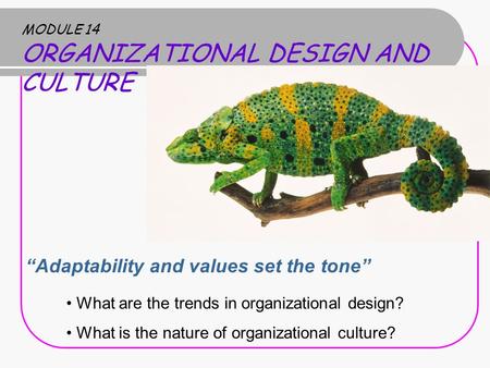 MODULE 14 ORGANIZATIONAL DESIGN AND CULTURE