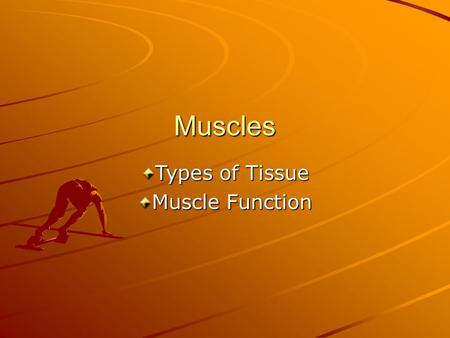 Muscles Types of Tissue Muscle Function. Remember… Three types of Muscle Tissue –Smooth muscle –Cardiac muscle –Skeletal Muscle.