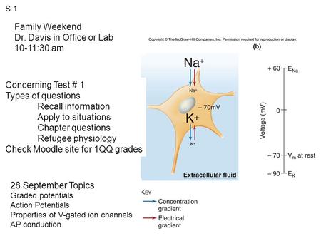 Family Weekend Dr. Davis in Office or Lab 10-11:30 am