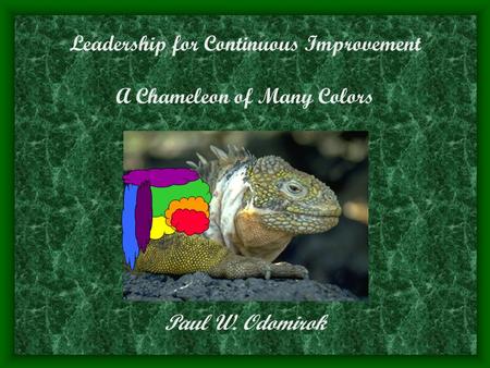 Leadership for Continuous Improvement A Chameleon of Many Colors Paul W. Odomirok.