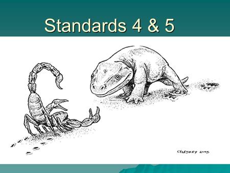 Standards 4 & 5. Standard 4  All organisms respond to their environment.  A response is a reaction to a stimulus. For example, if a lion charges a gazelle,