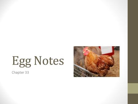 Egg Notes Chapter 33.