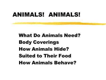 ANIMALS! ANIMALS! What Do Animals Need? Body Coverings