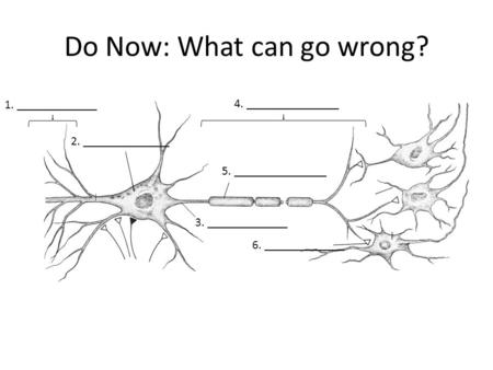 Do Now: What can go wrong? 2. ______________ 4. _______________ 1. _____________ 3. _____________ 6. _____________ 5. _______________.