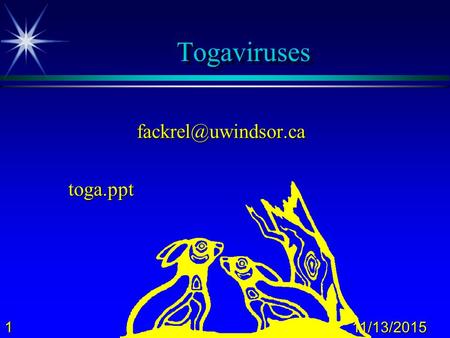 111/13/2015 Togaviruses