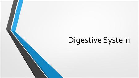 Digestive System. Humans as Heterotrophs Hetero=another Trophe= nutrition As heterotrophs we cannot create carbon, therefore we need to ingest carbon.