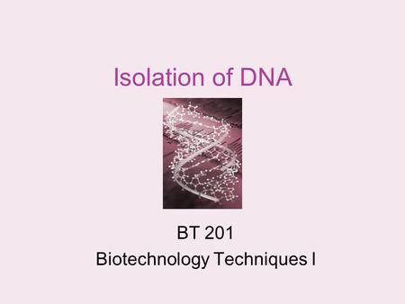 Isolation of DNA BT 201 Biotechnology Techniques I.