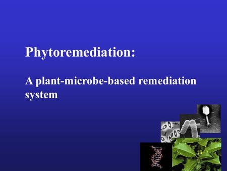 Phytoremediation: A plant-microbe-based remediation system.