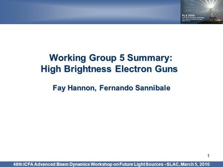 1 Working Group 5 Summary: High Brightness Electron Guns High Brightness Electron Guns Fay Hannon, Fernando Sannibale 48th ICFA Advanced Beam Dynamics.