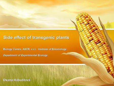 Side effect of transgenic plants Biology Centre, ASCR, v.v.i. Institute of Entomology Department of Experimental Ecology Oxana Habuštová Biology Centre,