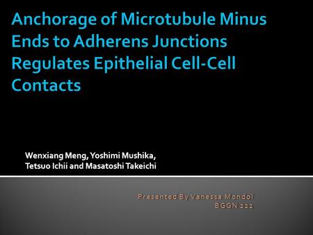 Wenxiang Meng, Yoshimi Mushika, Tetsuo Ichii and Masatoshi Takeichi Presented By Vanessa Mondol BGGN 222 Presented By Vanessa Mondol BGGN 222.