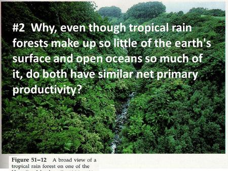 #2 Why, even though tropical rain forests make up so little of the earth's surface and open oceans so much of it, do both have similar net primary productivity?