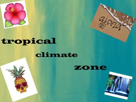 Tropical climate zone.