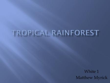 White 1 Matthew Myrick.  The climate is very humid because of all the rainfall – about 250cm/year