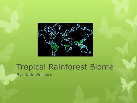 Tropical Rainforest Biome