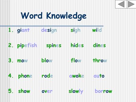 1.giant design sighwild 2.pipefish spines hides dinesdines 3.mow blow flow throw 4. phone rode awoke auto 5. show over slowly borrow Word Knowledge.