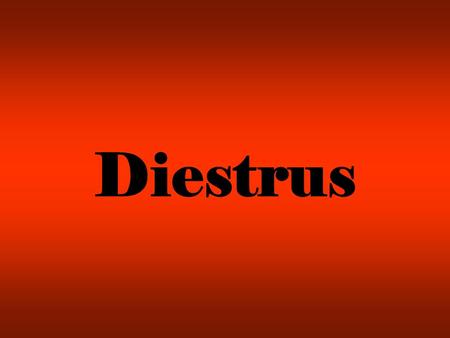 Diestrus. The Reproductive Cycle The reproductive cycle in dogs varies tremendously depending on breed and size of the animal. Puberty may occur as early.