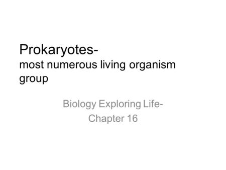 Prokaryotes- most numerous living organism group Biology Exploring Life- Chapter 16.