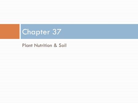 Chapter 37 Plant Nutrition & Soil.